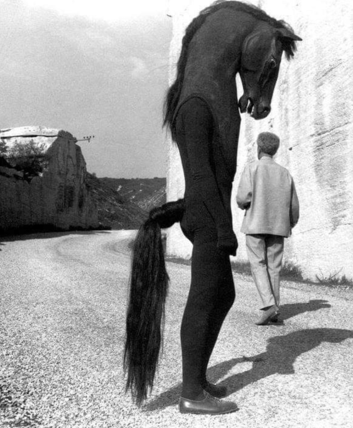 cocteau horse